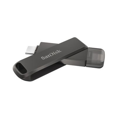 SANDISK Flash Drive (64 GB) SDIX70N-064G-GN6NN