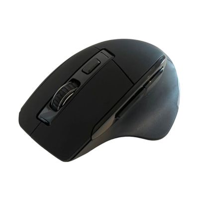 BEWELL Semi-Vertical Ergonomic Wireless Mouse (Black) EC06