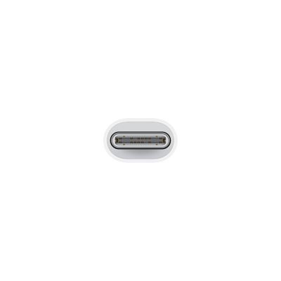 APPLE อะแดปเตอร์ USB-C เป็น Lightning