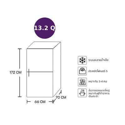 HITACHI ตู้เย็น 2 ประตู (13.2 คิว, สี Brushed Silver) รุ่น R-V409PTH1
