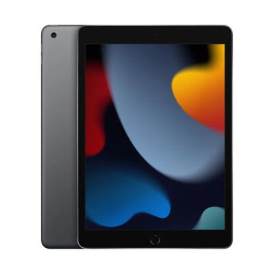 APPLE iPad Gen 9 2021 Wi-Fi (256 GB, Space Gray)