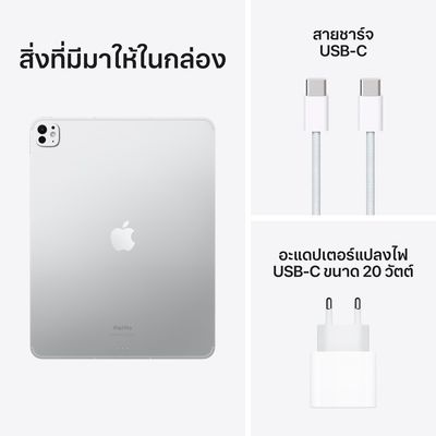 APPLE iPad Pro M4 Wi-Fi + Cellular 2024 (13", 256 GB, Silver)
