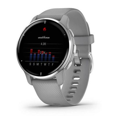 GARMIN Venu 2 Plus Smart Watch (43 mm, Gray Case, Power Gray With Passivated Band)