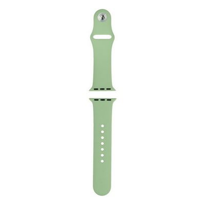 HEAL สายนาฬิกา (42 mm., Sport Band, สี Mint Green) รุ่น Sport Band Pastel S42