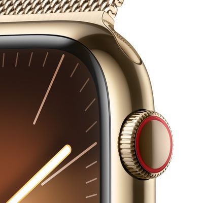 APPLE Watch Series 9 GPS + Cellular 2023 (45mm., Gold Stainless Steel Case, Gold Milanese Loop)