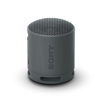 SONY Portable Bluetooth Speaker (2.5W, Black) SRS-XB100