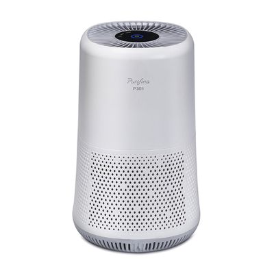 MEX Air Purifier (17-30 sqm, White) P301