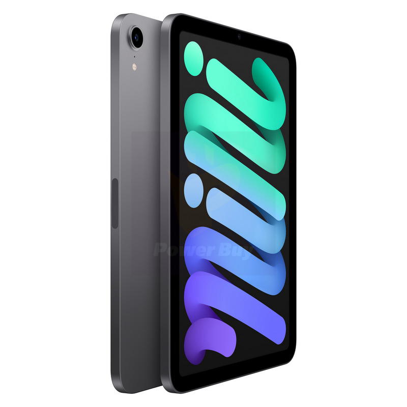Buy APPLE iPad mini Wi-Fi 2021 (256GB, Space Gray) at Best price 