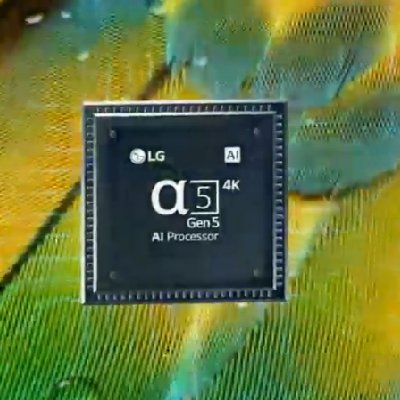 Buy LG TV 55NANO80 NanoCell LED (55, 4K, Smart, 2022) 55NANO80SQA.ATM at  Best price