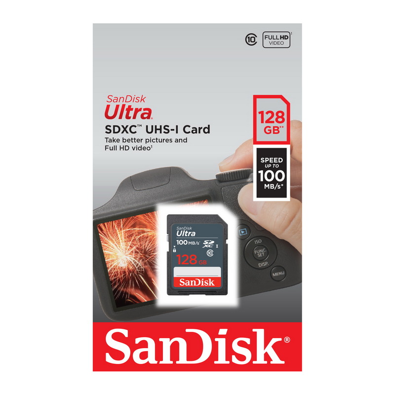 SANDISK SDXC Card (128 GB) SDSDUNR-128G-GN3IN